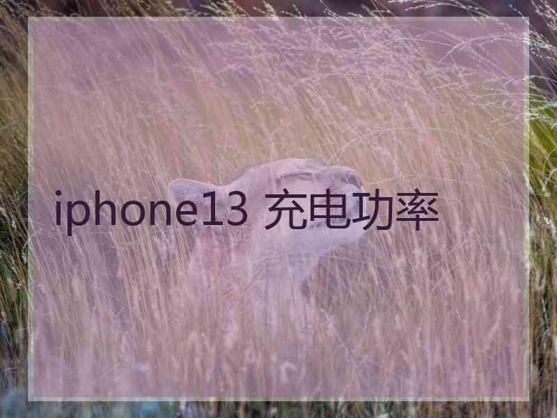 iphone13 充电功率