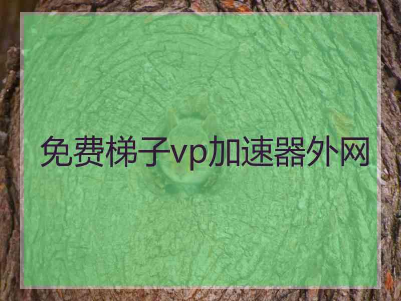 免费梯子vp加速器外网