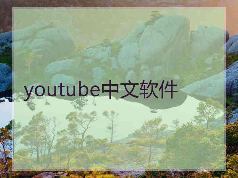 youtube中文软件