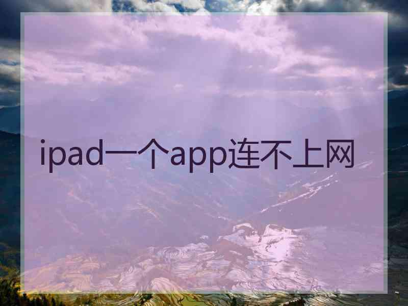 ipad一个app连不上网