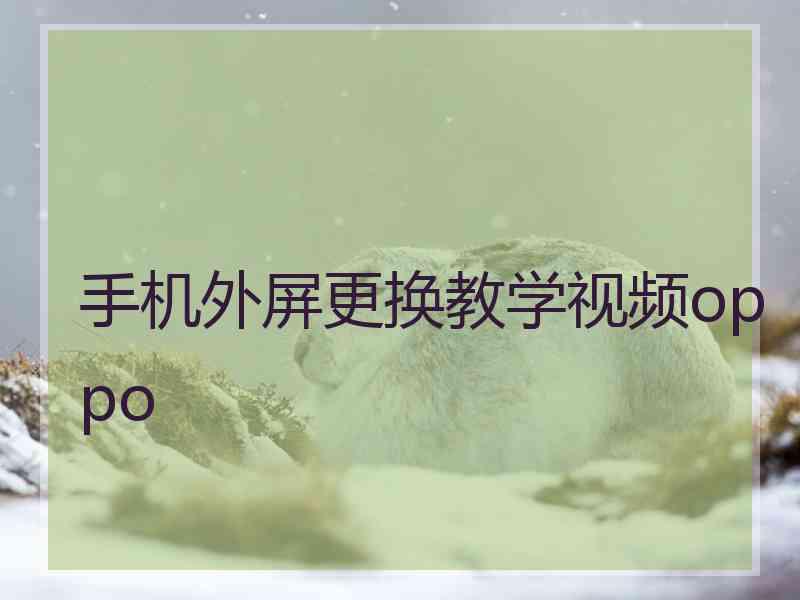 手机外屏更换教学视频oppo