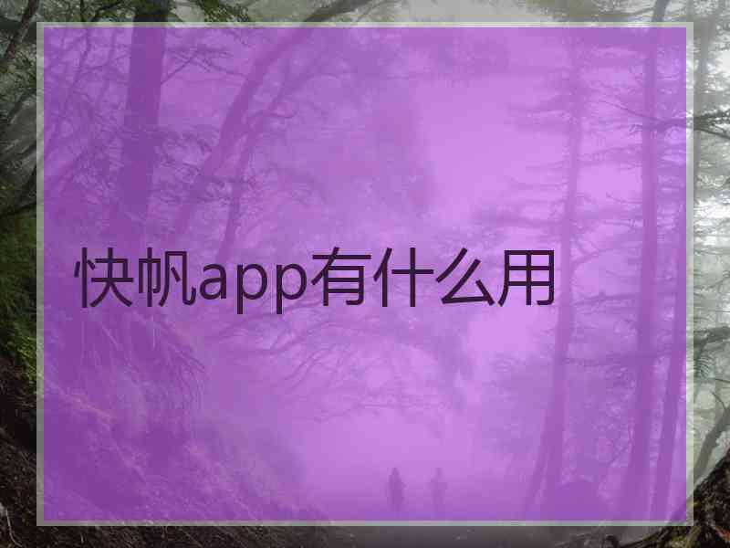 快帆app有什么用