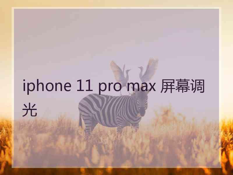 iphone 11 pro max 屏幕调光