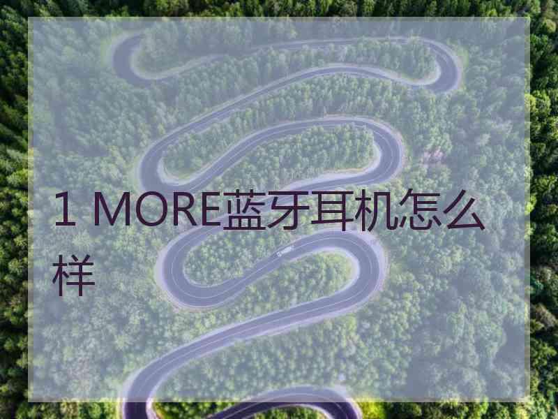 1 MORE蓝牙耳机怎么样