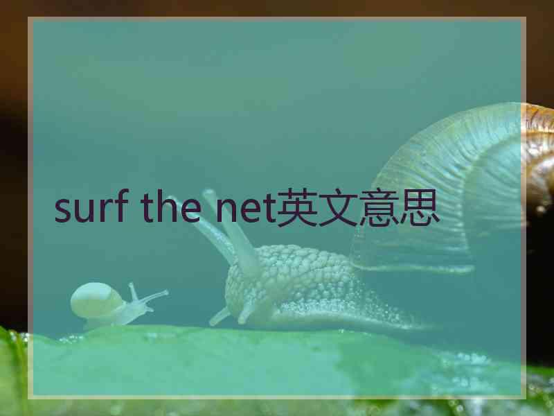 surf the net英文意思