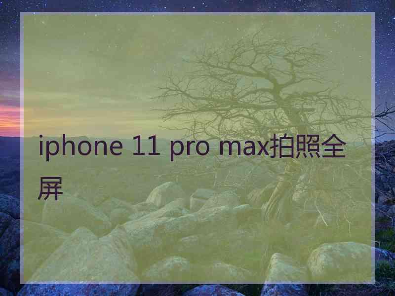 iphone 11 pro max拍照全屏