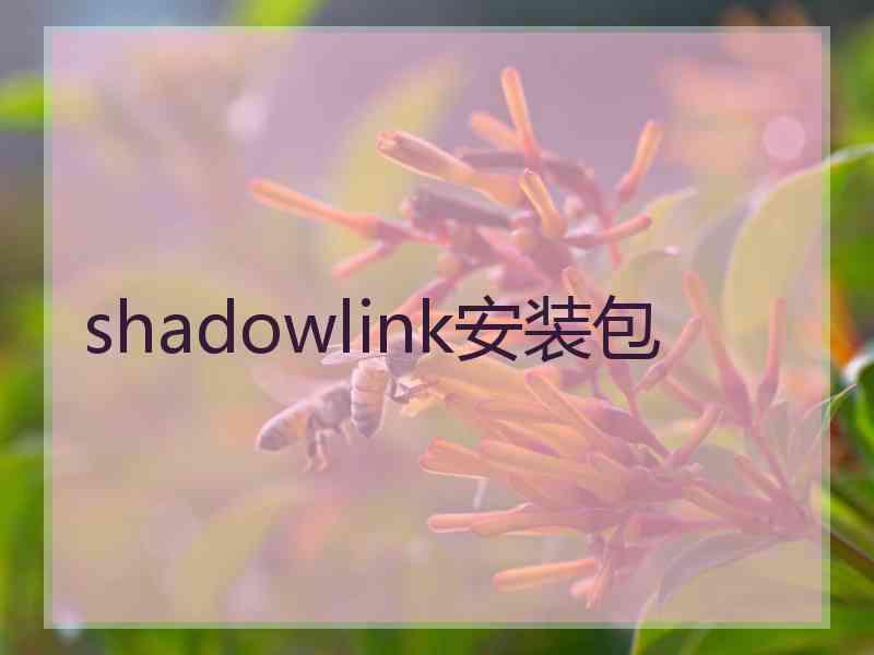 shadowlink安装包