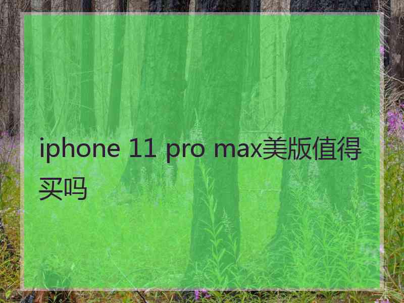 iphone 11 pro max美版值得买吗