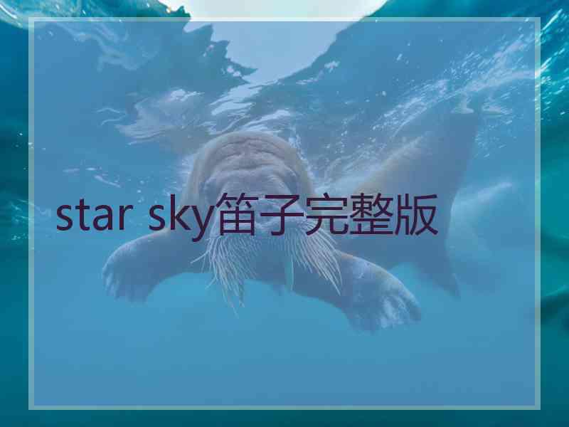 star sky笛子完整版