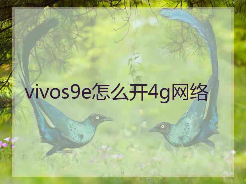 vivos9e怎么开4g网络