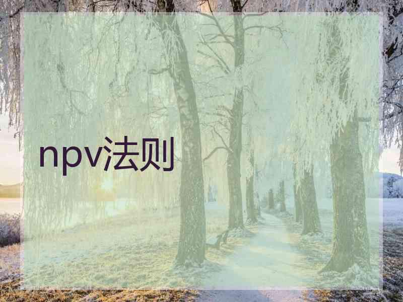 npv法则