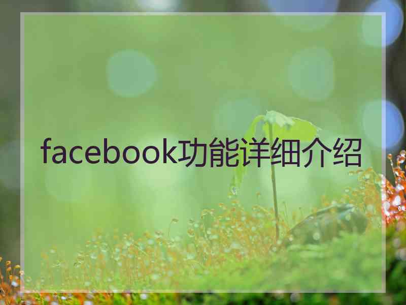 facebook功能详细介绍