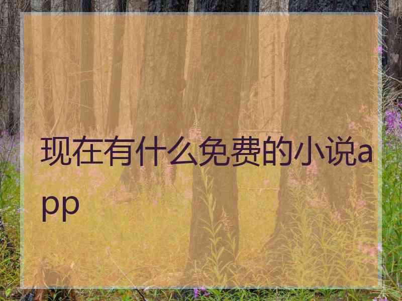 现在有什么免费的小说app