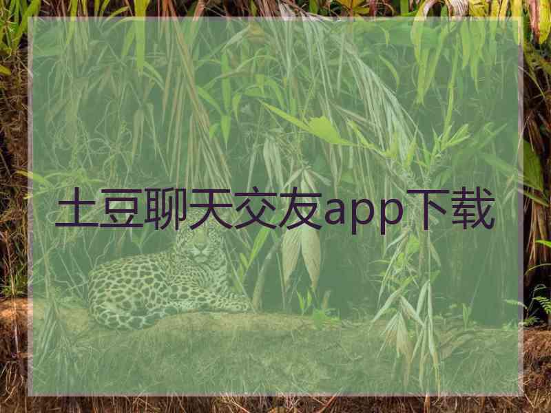 土豆聊天交友app下载