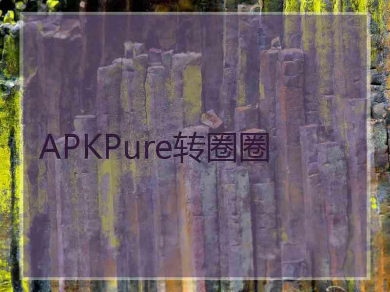 APKPure转圈圈