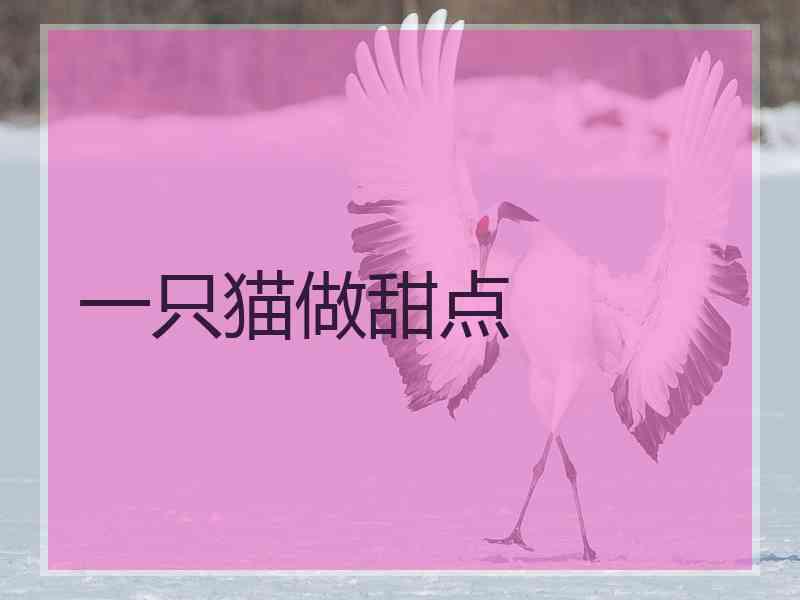 一只猫做甜点