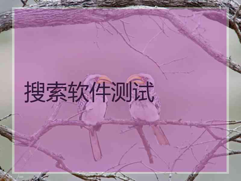 搜索软件测试