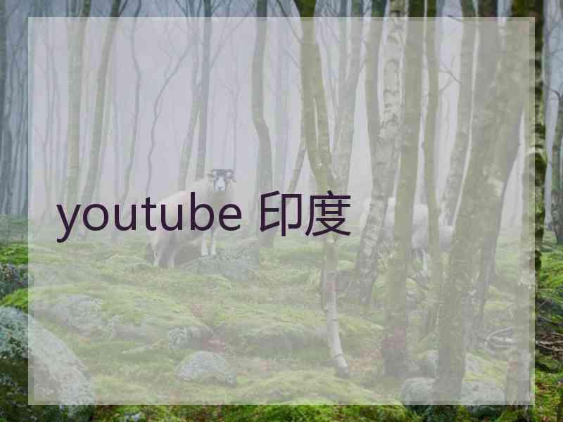 youtube 印度