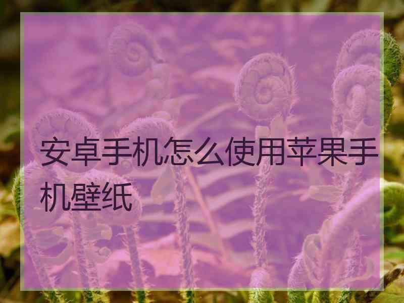 安卓手机怎么使用苹果手机壁纸