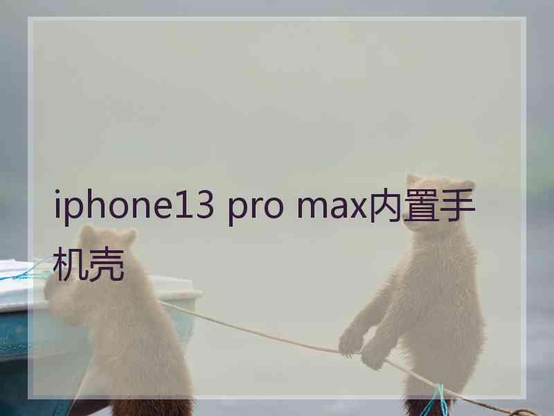 iphone13 pro max内置手机壳