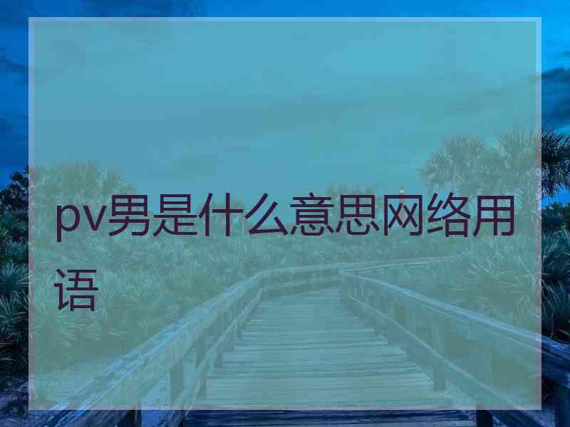 pv男是什么意思网络用语