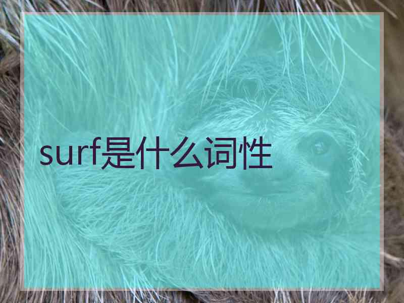 surf是什么词性