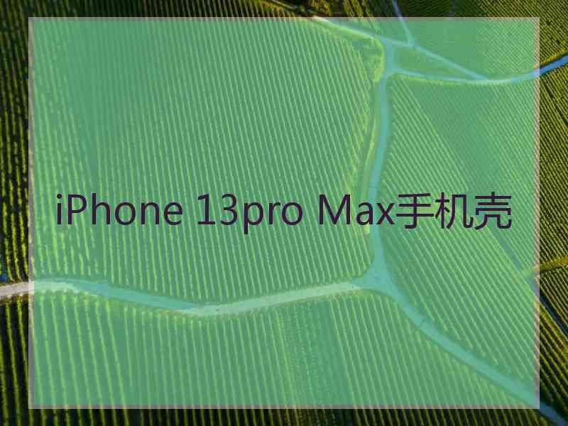 iPhone 13pro Max手机壳