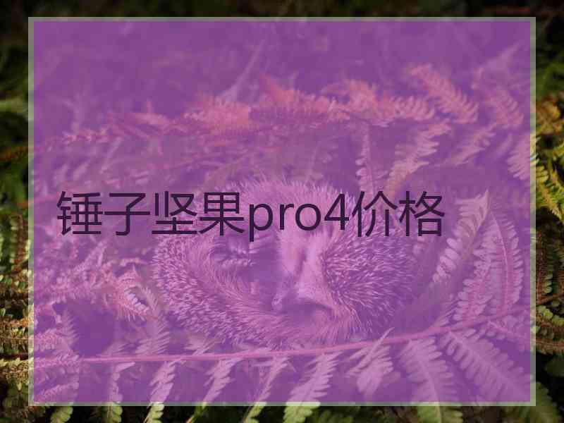 锤子坚果pro4价格