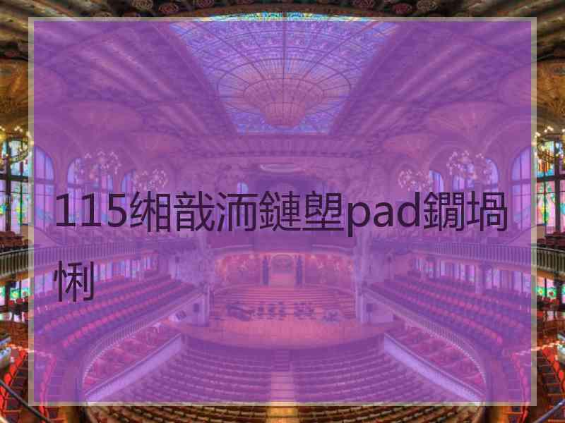 115缃戠洏鏈塱pad鐗堝悧