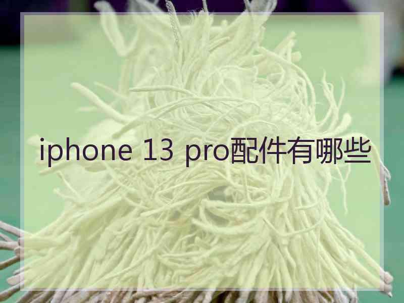 iphone 13 pro配件有哪些