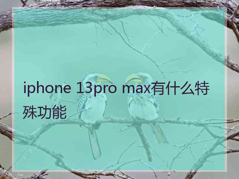 iphone 13pro max有什么特殊功能