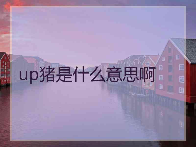 up猪是什么意思啊