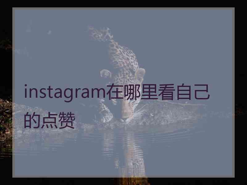 instagram在哪里看自己的点赞