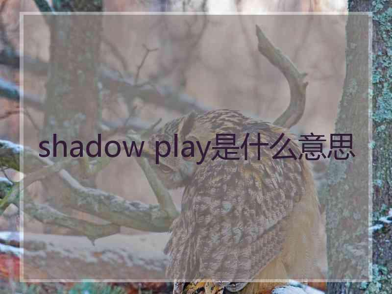 shadow play是什么意思