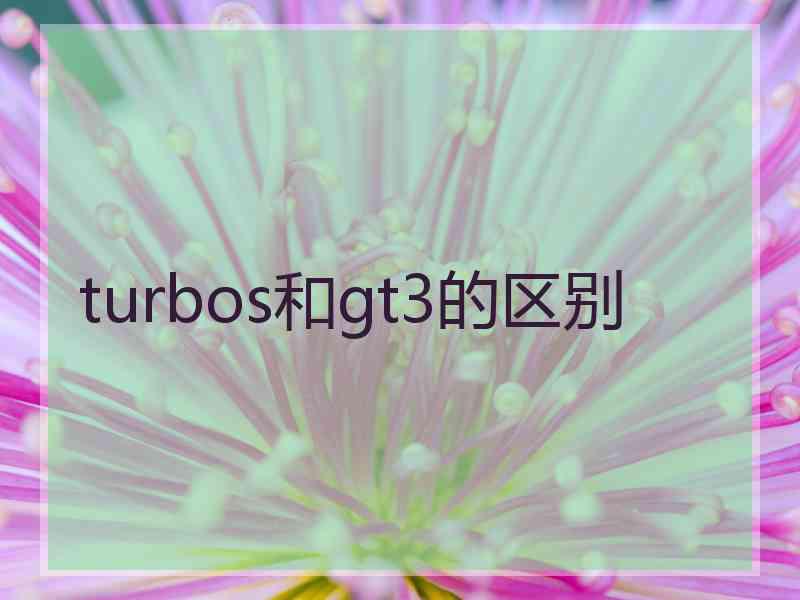 turbos和gt3的区别