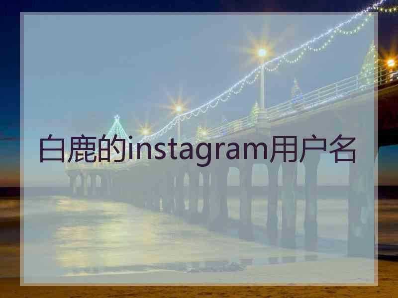 白鹿的instagram用户名