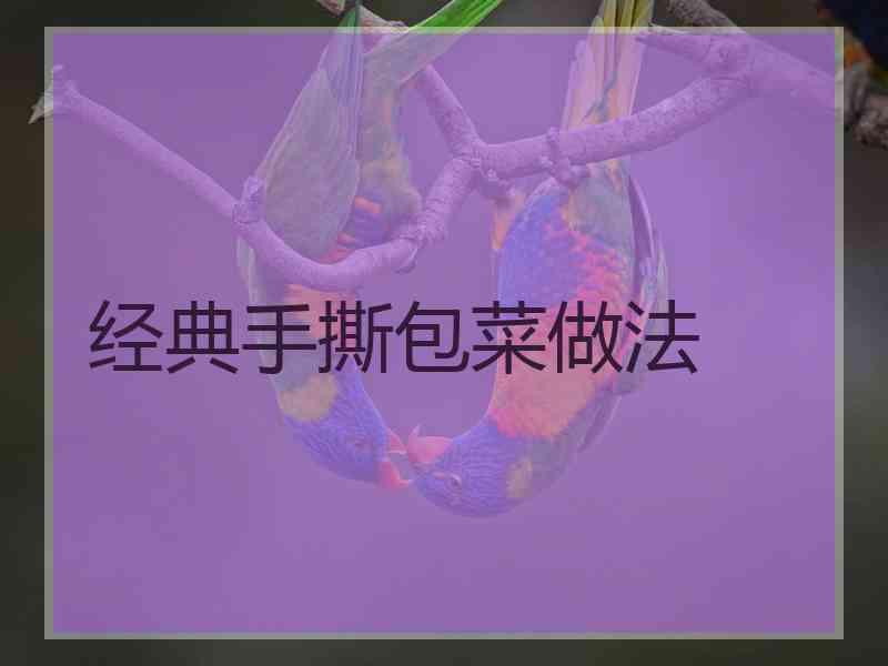 经典手撕包菜做法