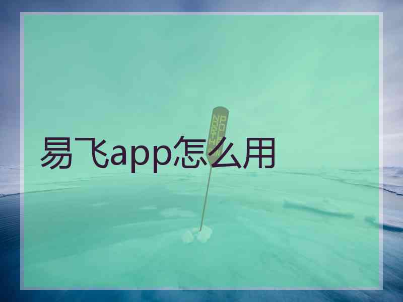 易飞app怎么用