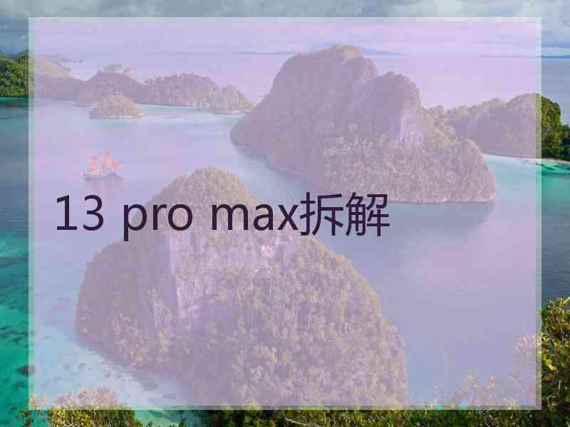 13 pro max拆解