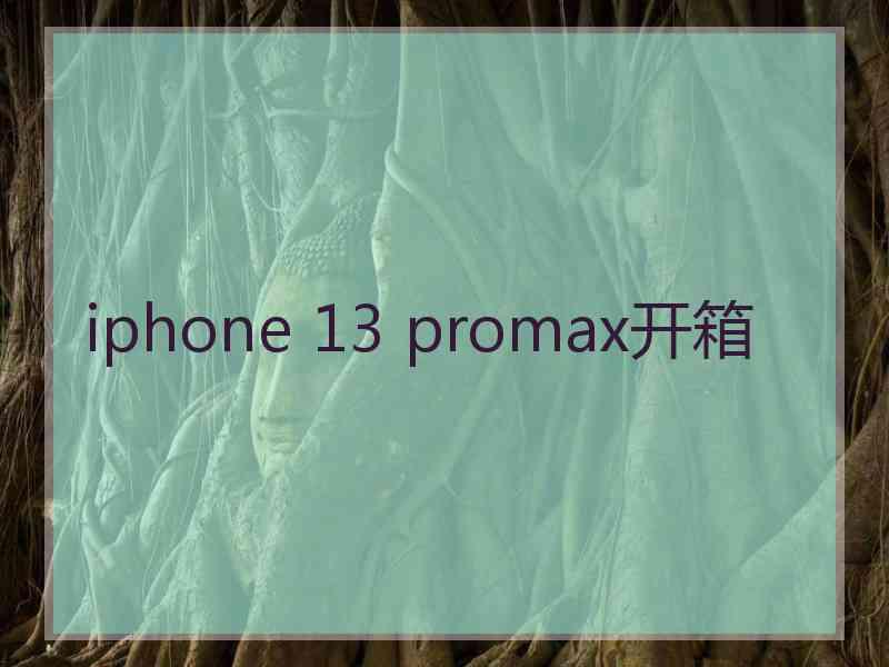 iphone 13 promax开箱