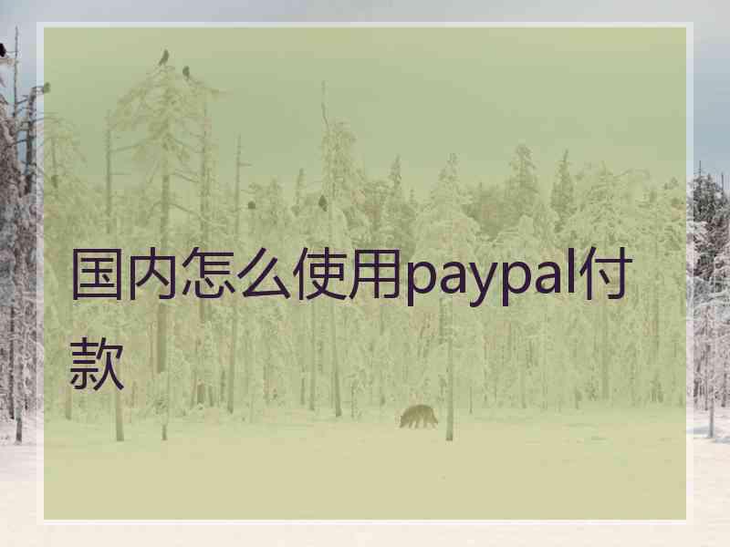 国内怎么使用paypal付款