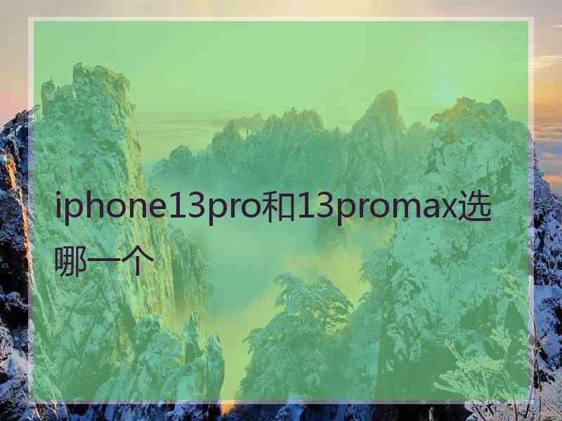 iphone13pro和13promax选哪一个