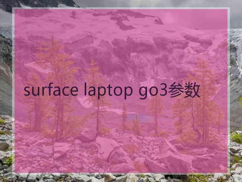 surface laptop go3参数