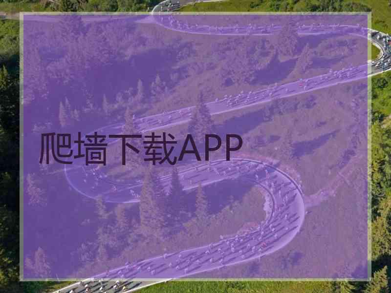 爬墙下载APP