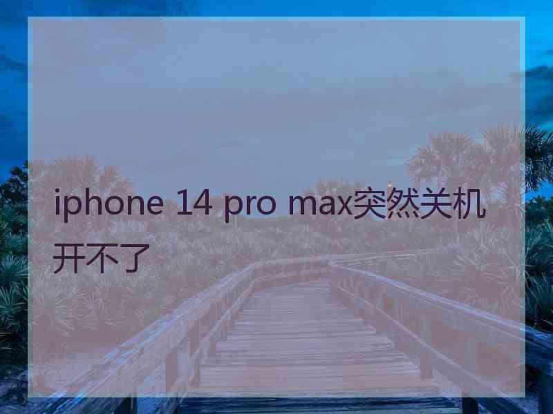 iphone 14 pro max突然关机开不了