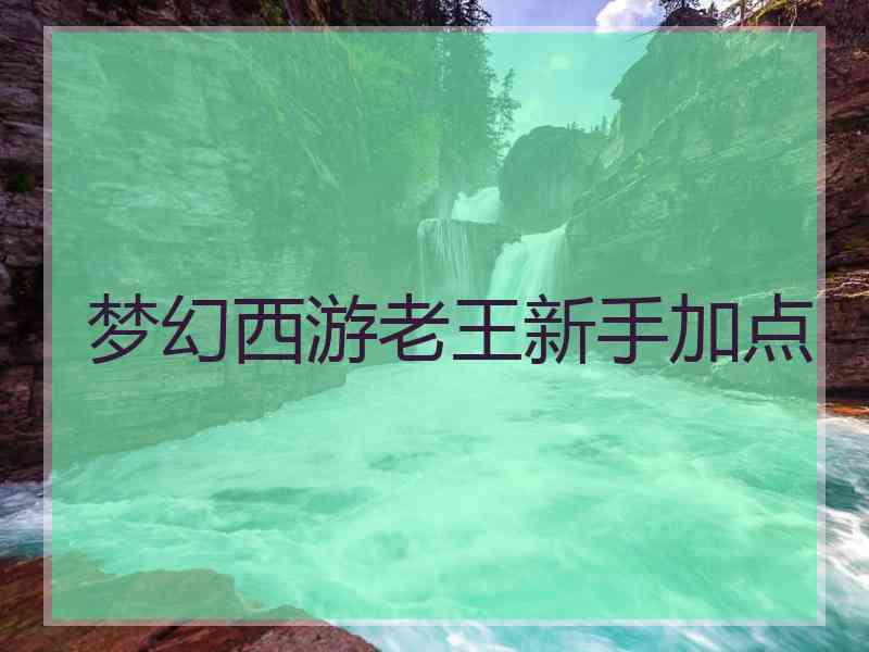 梦幻西游老王新手加点