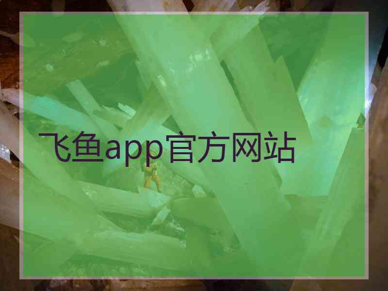 飞鱼app官方网站