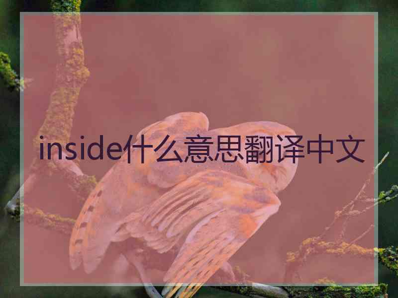 inside什么意思翻译中文