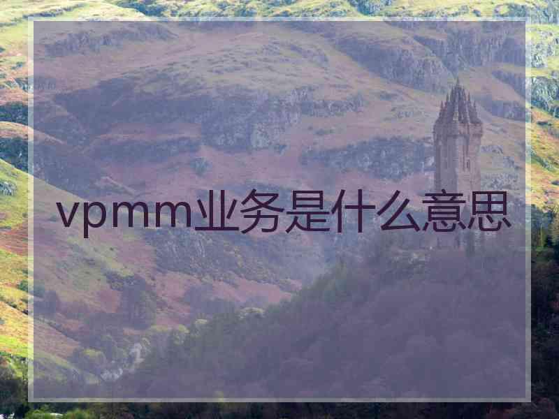 vpmm业务是什么意思