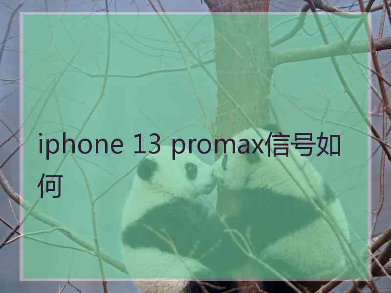 iphone 13 promax信号如何